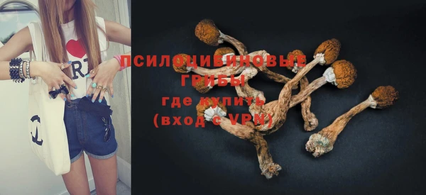 МДМА Арсеньев