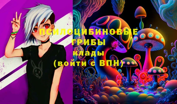 МДМА Арсеньев