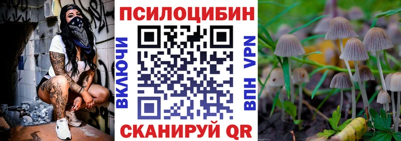 Псилоцибиновые грибы GOLDEN TEACHER Урус-Мартан
